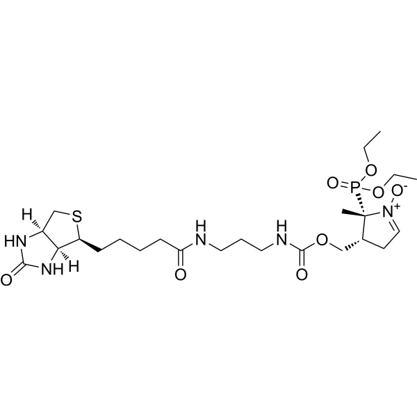 (2S,3R)-DEPMPO-Biotin 936224-52-1